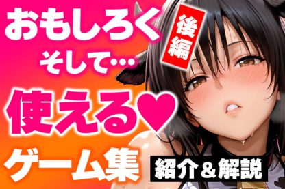 しっかり面白く、しっかりエロいゲーム集のサムネイル画像